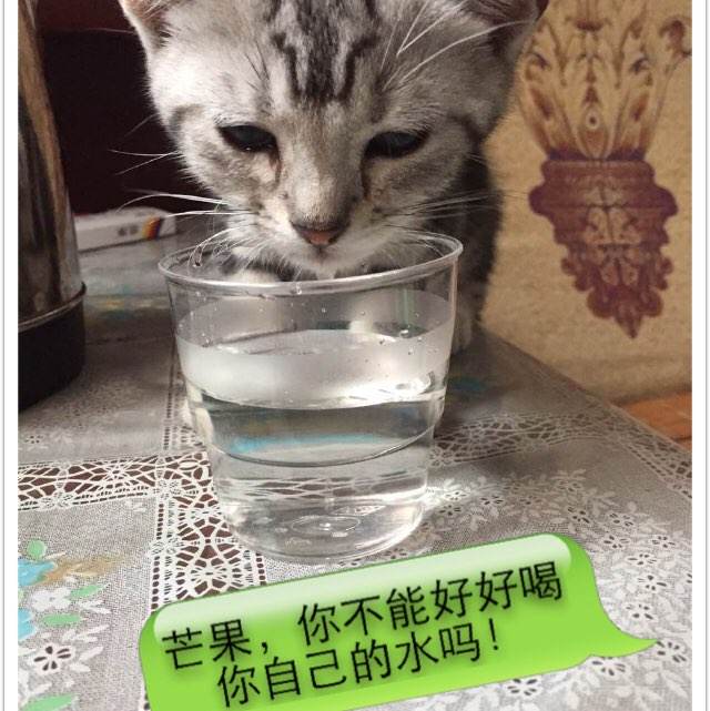 武汉办理不动产证需要什么材料